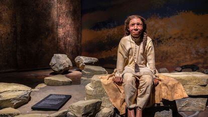 An exhibition on Neanderthals in Moesgaard Museum in Denmark.