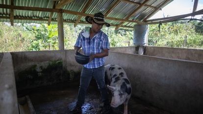 John Eduard, former coca grower, on his farm in San José de Uré (Colombia).