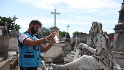 A health worker releases mosquitoes that have been modified with the Wolbachia bacteria. Pictured at the São Francisco Xavier Cemetery in Rio de Janeiro.