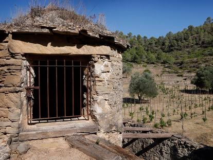 The ancient dry stone 'tina' of the Abadal winery in the Arboset vineyard (Barcelona).