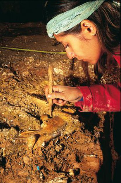 Paleontologist Nuria García works on a fossil at the Atapuerca site in Burgos.
