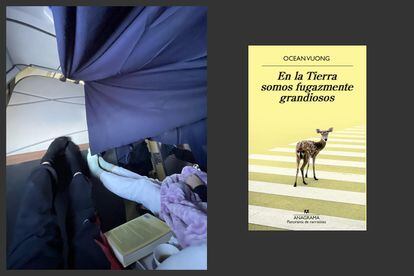 On August 29, 2022, Rosalía posted this photo while she was travelling in Chile. The experts took a little while to discover that the book she had with her was the Spanish translation of 'On Earth We're Briefly Gorgeous,' by Ocean Vuong. 