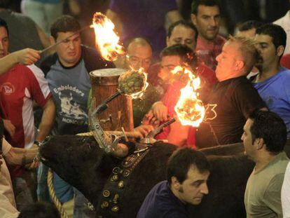 The flaming bull fiesta in Nules, Castellón province.