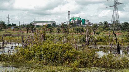 Addax bioethanol plant, near the town of Tonka (Sierra Leone).