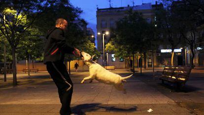 A man plays with a bull terrier next to the bench where Jorge Luis Costas was shot on April 27.