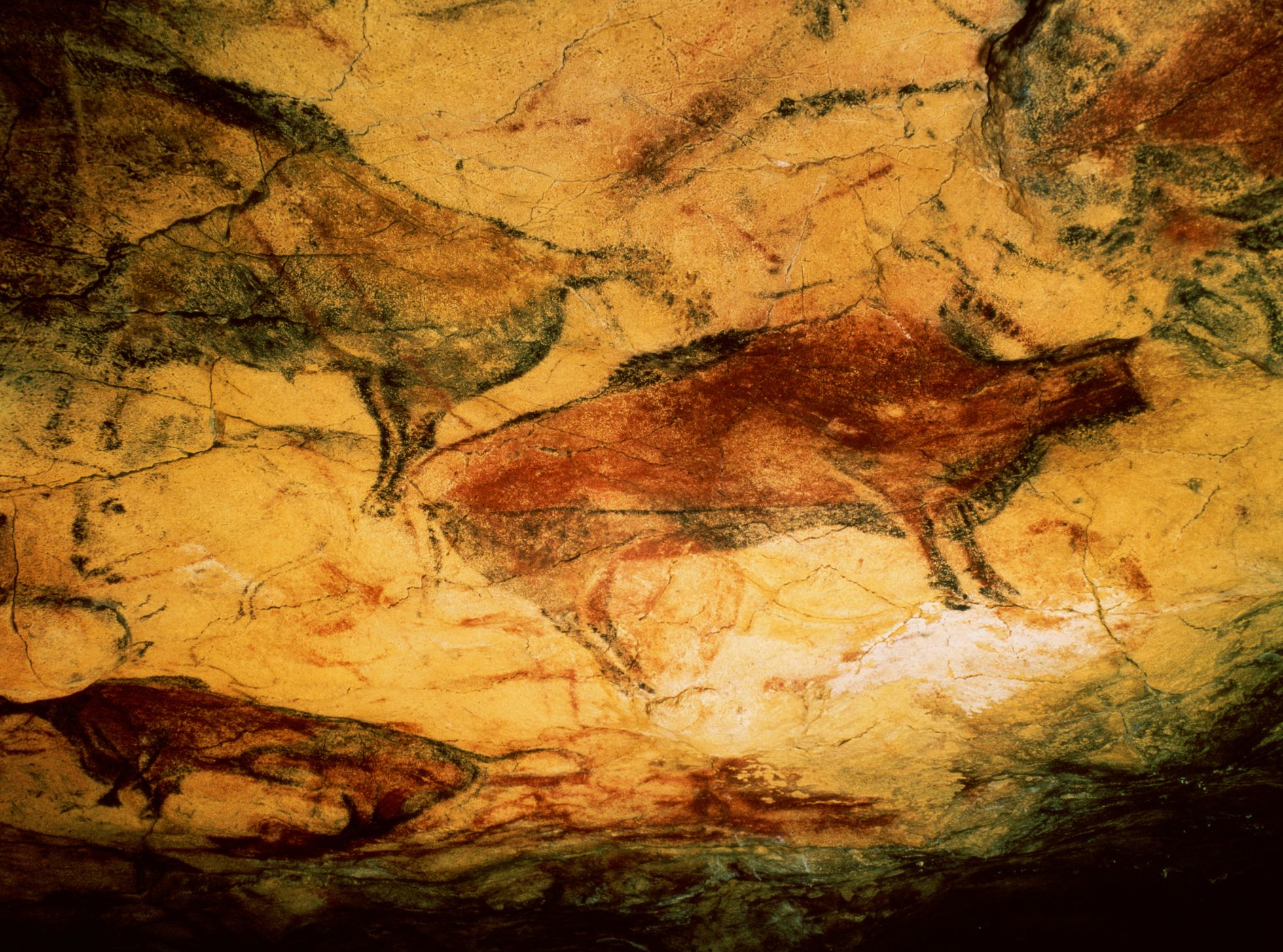 ЗУБР Пещерная живопись палеолит пещера Альтамира Испания