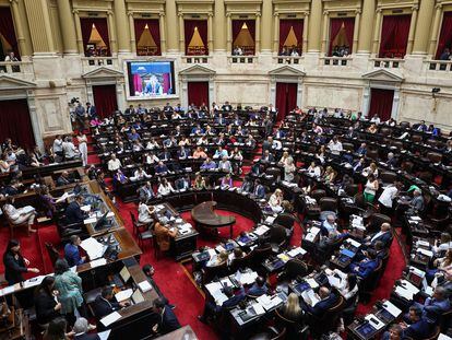 Argentine legislators debate the omnibus law in Congress this Wednesday.