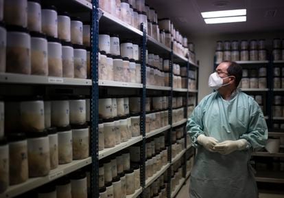 Pathologist Alberto Rábano examines a bank of donated brains at the CIEN Tissue Bank in Madrid.