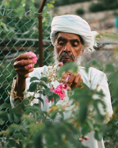 recolector de rosas fotografiado para la campaña del 'attar' Rose Aqor de Amouage.