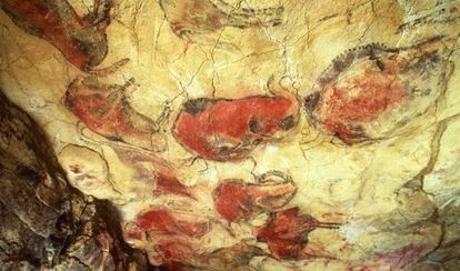 Bison painted around 14,000 years ago in the Altamira complex.