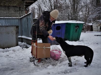 An elderly woman feeds a dog on Thursday, shortly after collecting a ration of bread at a humanitarian aid delivery post in the Ukrainian town of Kupiansk.
