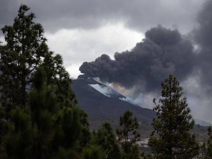 A view of the eruption of La Palma’s volcano from a pine forest close to the town of El Paso on November 17.