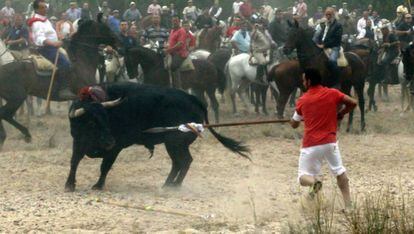 Bull getting lanced at Toro de la Vega 2006.