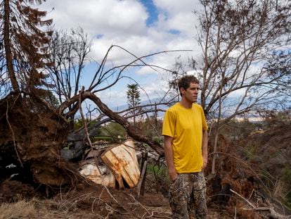 Kyle Ellison stands in front of a fallen tree on Wednesday, Sept. 27, 2023, in Kula, Hawaii.