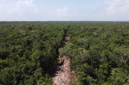 A bulldozed path cuts through the forest to make way for the Maya Train in Akumal, Quintana Roo state, Mexico, Tuesday, Aug. 2, 2022