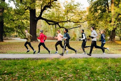 A group of runners in a park.
