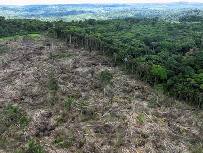 A deforested area in the Amazon during an operation to tackle illegal logging near Uruara, in the state of Pará, in January 2023.