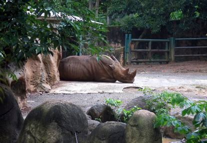 Zoo in Mayaguez