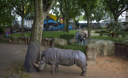 A rhinoceros at the Barcelona zoo.