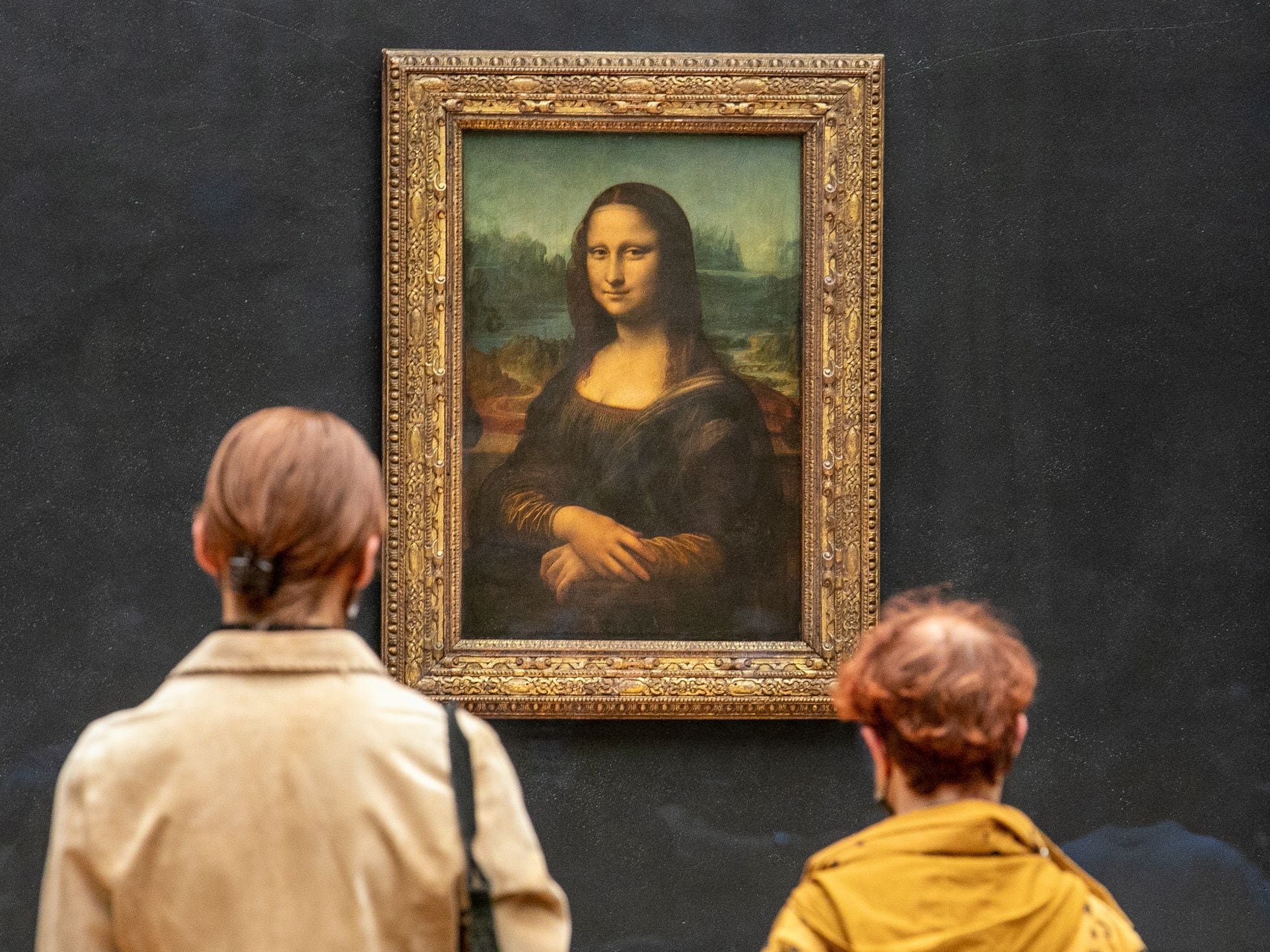 The mystery of the Mona Lisa is not in her smile, but in the ingredients Da  Vinci used to paint her, Science