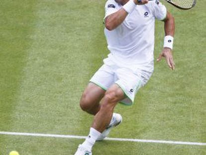 David Ferrer in action at Wimbledon.