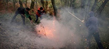 Residents of Abelenda das Penas put out fires.