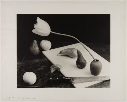 ‘Untitled’ (1985). © Photo Elysée. Archives of Jan Groover.