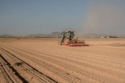 A tractor in an unplanted field in the Campo de Cartagena farming region (Murcia).