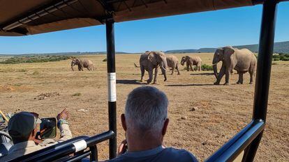 Tourists on a safari in Shamwari, South Africa, in February 2022.
