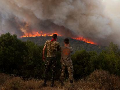 Flames burn a forest in Sykorrahi, in the northeast of the Evros region of Greece, on August 23, 2023.