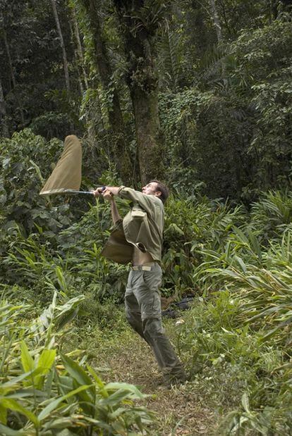 Roger Vila hunting for butterflies at the Henri Pittier natural park, in Venezuela.