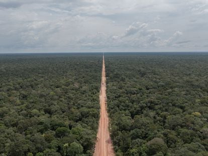 The BR-319 road in the Amazon rainforest in Brazil.