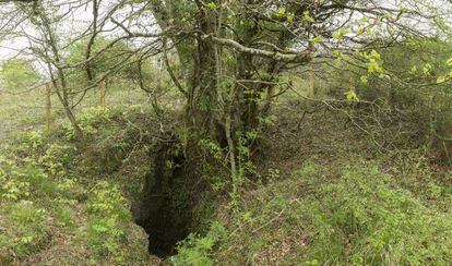 The mouth of the cave near Gaztelu, where members of the Sagardía family were allegedly thrown in 1936.