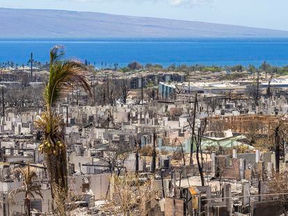 The devastated town of Lahaina, following the wildfires in Hawaii.