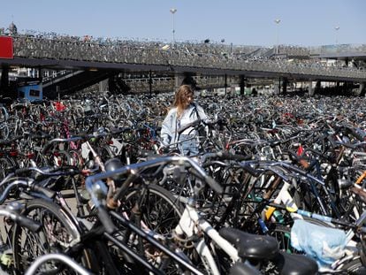 Up to 80,000 bicycles are stolen in Amsterdam each year, but that hasn't diminished their central role in the city's transportation system.