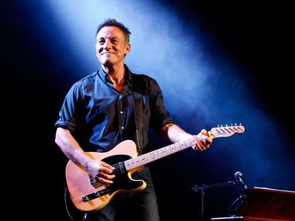 Bruce Springsteen during a November 2013 concert at Madison Square Garden in New York.