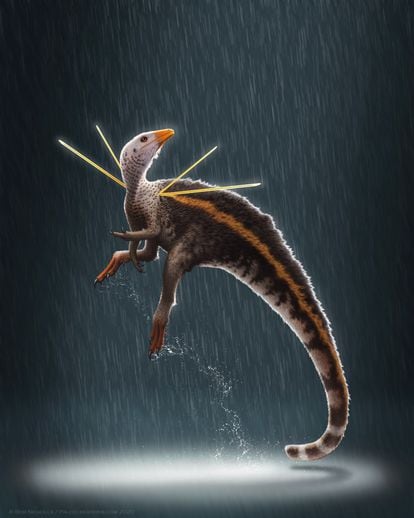 Ubirajara jubatus, dinosaur recently discovered