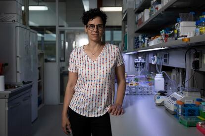 Biologist Núria López-Bigas, research professor at IRB Barcelona.
