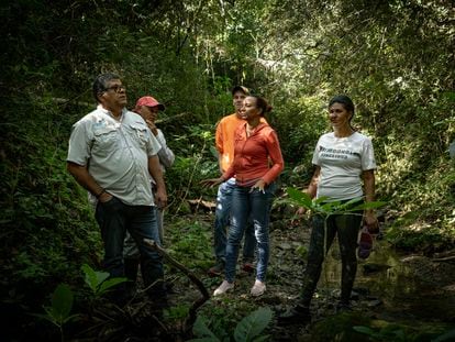 Members of the Plan Yaque team walking in the forest around La Pelada.