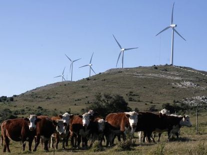 Windmills in Sierra de Caracoles, Uruguay.