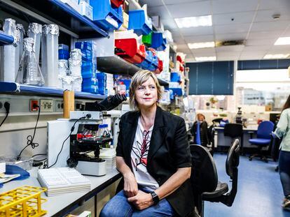The biologist Giovanna Roncador, in her laboratory at the National Cancer Research Center, in Madrid.