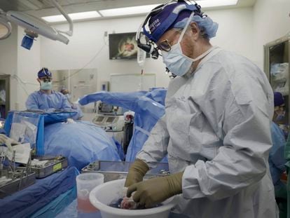 Dr. Robert Montgomery, director of NYU Langone’s transplant institute, prepares a pig kidney for transplant into a brain-dead man in New York on July 14, 2023.