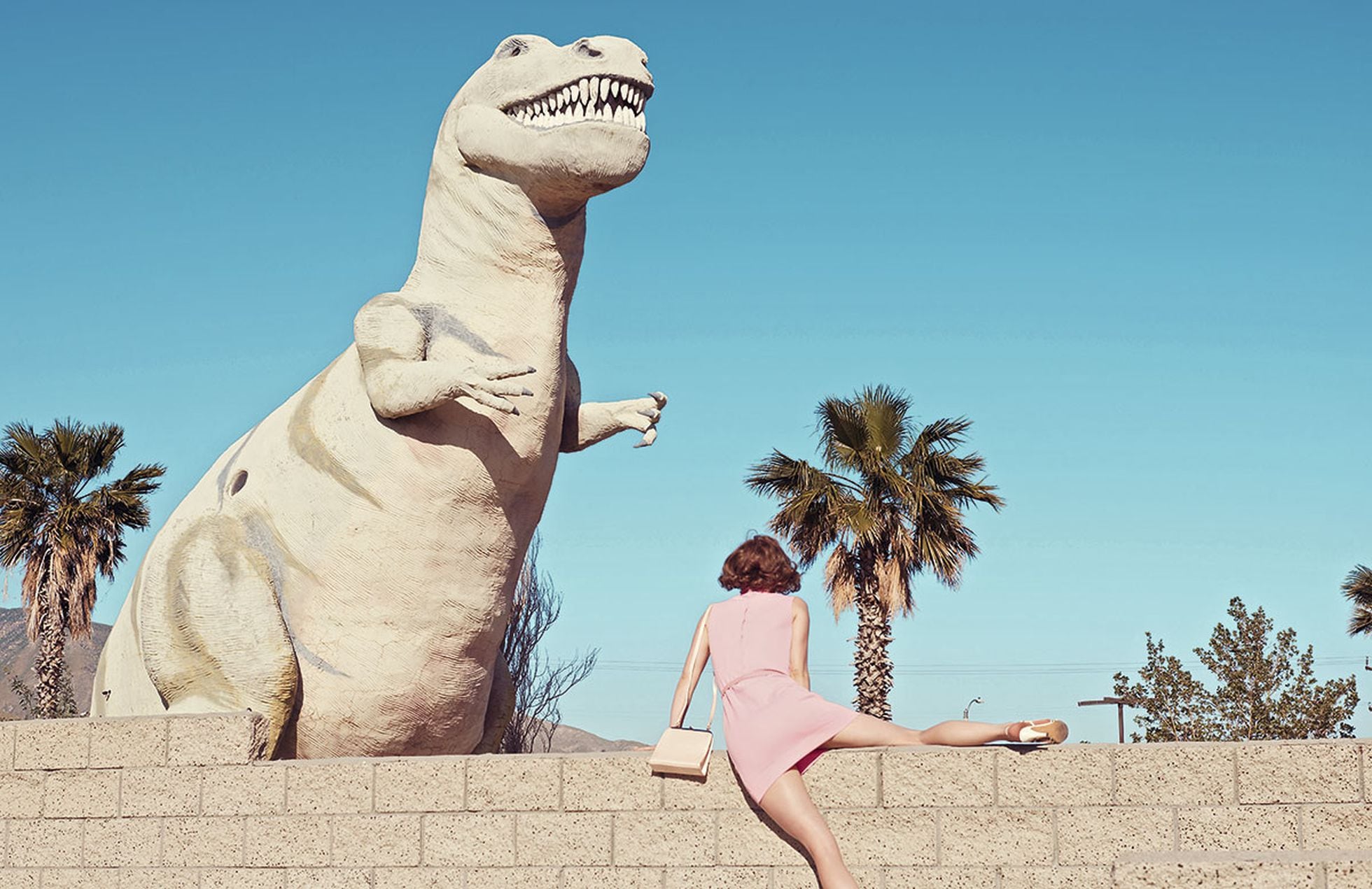 Godzilla, Tyrannosaurus rex and Raquel Welch's bikini: The