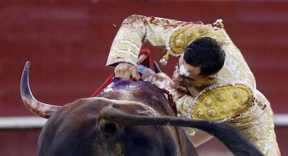 Matador Paco Ureña slaughters a bull in the ring.