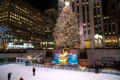 The great Christmas fir, a gift from Norway, installed in the Rockefeller Center in New York.
