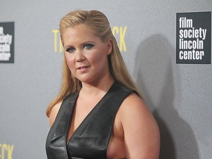 Amy Schumer’s memoir 'The Girl with the Lower Back Tattoo' was flagged by Florida officials for both sexual content and security concerns.