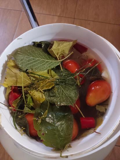 Marinated tomatoes on the Kupiansk front, in September 2023.