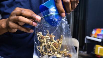A vendor bags psilocybin mushrooms at a cannabis marketplace on May 24, 2019, in Los Angeles.