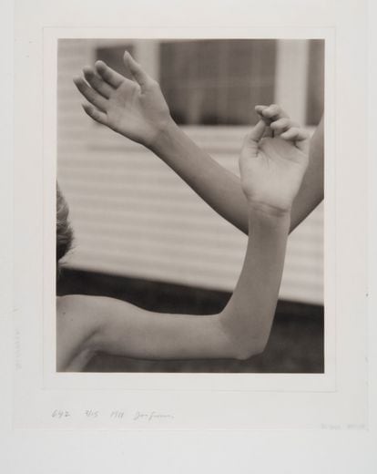 ‘Untitled’ (ca. 1981). © Photo Elysée. Archives of Jan Groover.