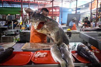 A man works with the day's catch at the Piura Market.